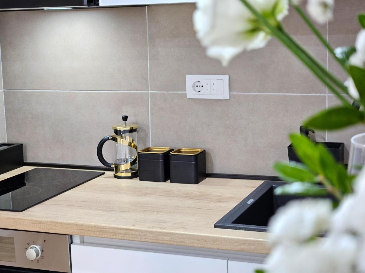 Roman Apartman Sremska Mitrovica Exteriér fotografie