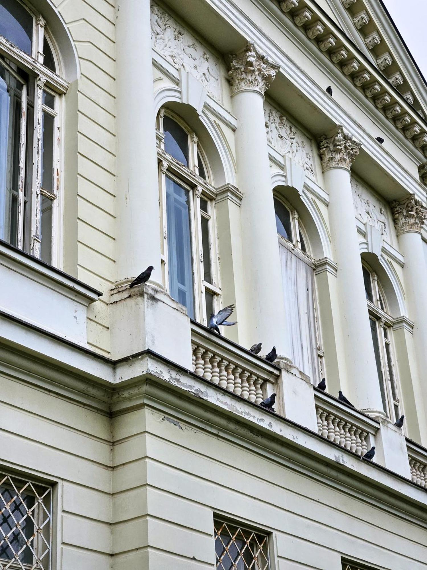 Roman Apartman Sremska Mitrovica Exteriér fotografie